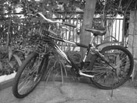 生チャリ20101016.jpg