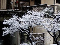 冬景色20120229