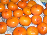 柿20111116