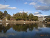 奈良20110107jpg