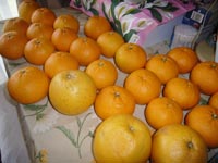 なつみかん20110401