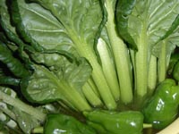 焼塩漬け20111115